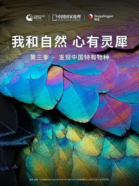 我和自然心有灵犀第三季