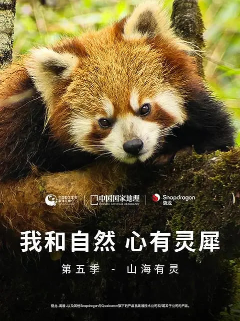 我和自然心有灵犀第五季