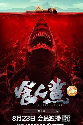 包青天之碧血丹心