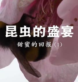 你好，对方辩友越南语版