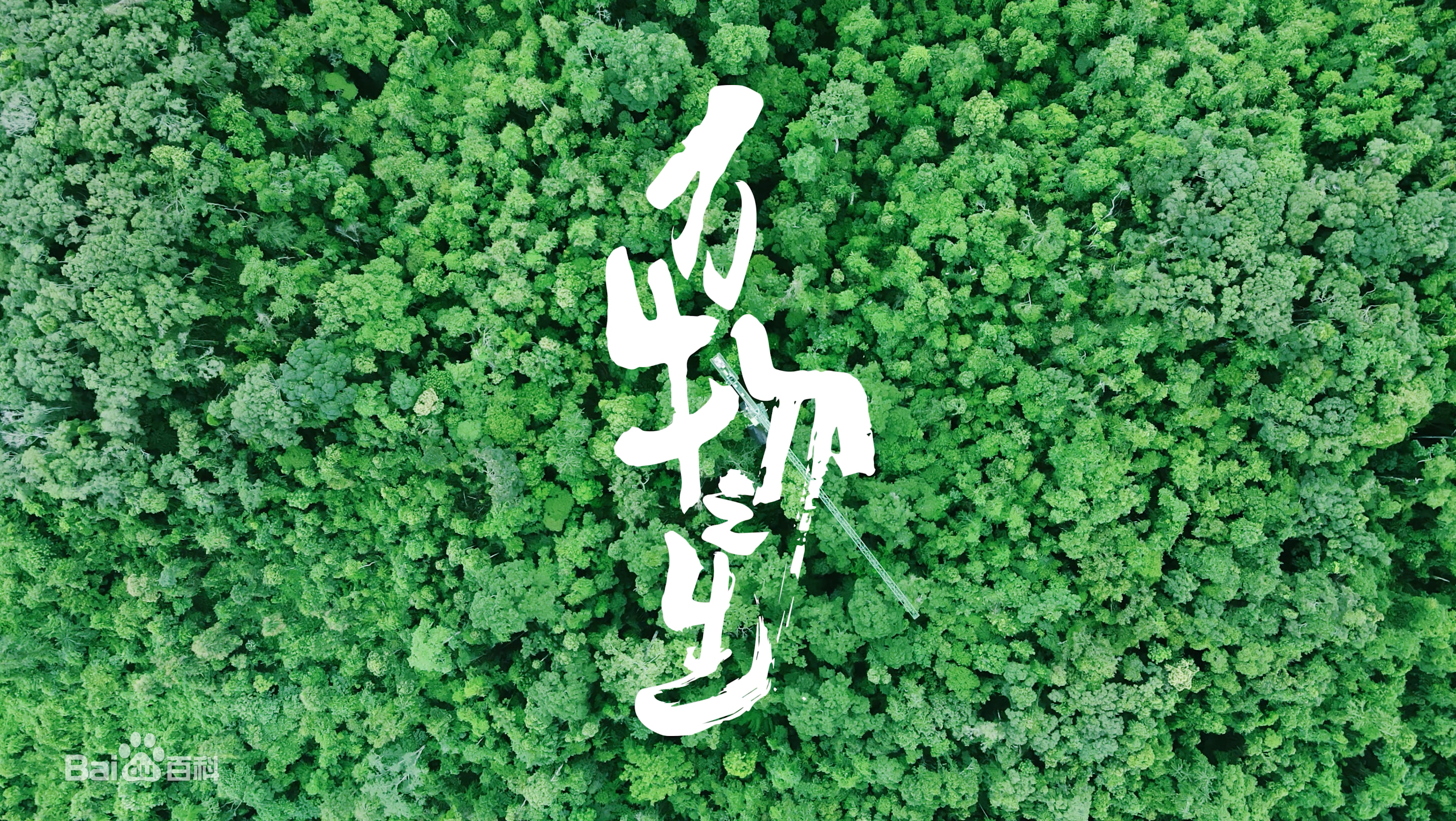 万物之生